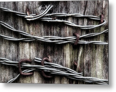 Fence Wire Metal Print featuring the photograph Holding It All Together by Michael Eingle