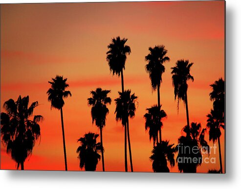 Hollywood Sunset Metal Print featuring the photograph Hollywood Sunset by Mariola Bitner