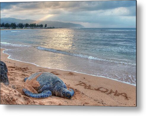 Honu Metal Print featuring the photograph Honu Welcome by Jeff Cook