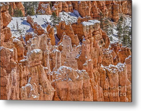 Bryce Canyon National Park Metal Print featuring the photograph Hoodoos After a Snowfall by Sue Smith