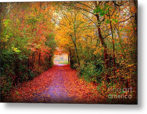 Autumn Metal Print featuring the photograph Hope by Jacky Gerritsen