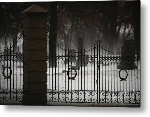 Fence Metal Print featuring the photograph Hopeful Expectation by Linda Shafer