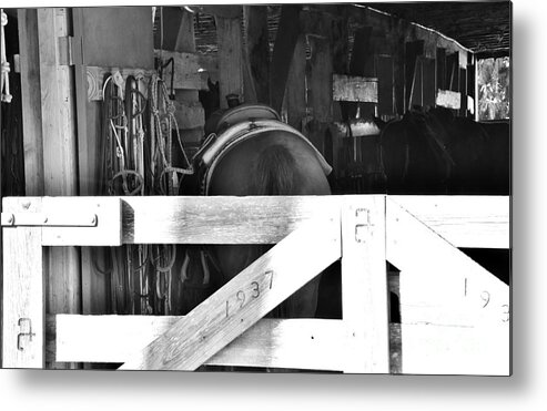 Ranch Metal Print featuring the photograph Horse and Tack by Lisa Renee Ludlum