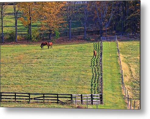 Fredon Township Metal Print featuring the photograph Horse Country # 2 by Allen Beatty