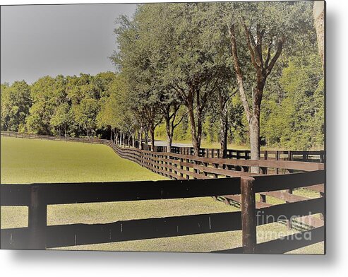 Landscape Metal Print featuring the photograph Horse Farm by Carol Riddle