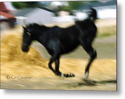 Horse Metal Print featuring the photograph Horse in Action by Kae Cheatham
