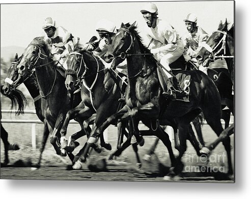 Horse Metal Print featuring the photograph Horse Racing by Dimitar Hristov