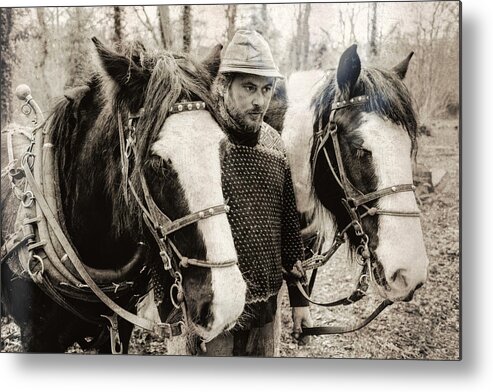 Action Metal Print featuring the photograph Horse Work Team 3 by Roy Pedersen