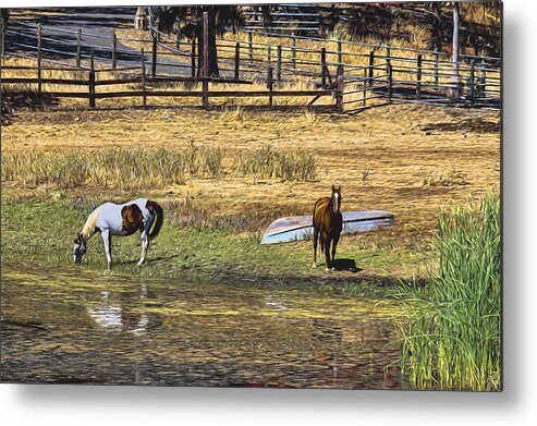 Berryessa Metal Print featuring the photograph Horses at Lake Berresa by Bruce Bottomley