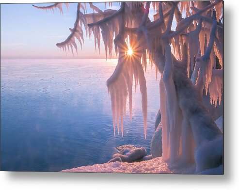  Metal Print featuring the photograph Hot Ice by Terri Hart-Ellis