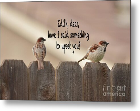 Humor Metal Print featuring the photograph Humor by Debby Pueschel