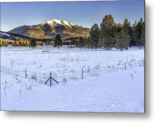 Humphreys Peak Metal Print featuring the photograph Humphreys Peak by Harry B Brown