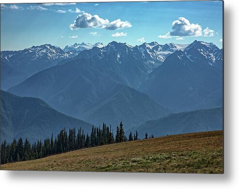 Grass Metal Print featuring the photograph Hurricane Ridge by Kyle Lee