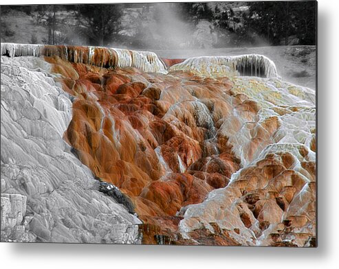 Hot Springs Metal Print featuring the photograph Hymen Terrace Mammoth Hot Springs Yellowstone Park WY by Alexandra Till