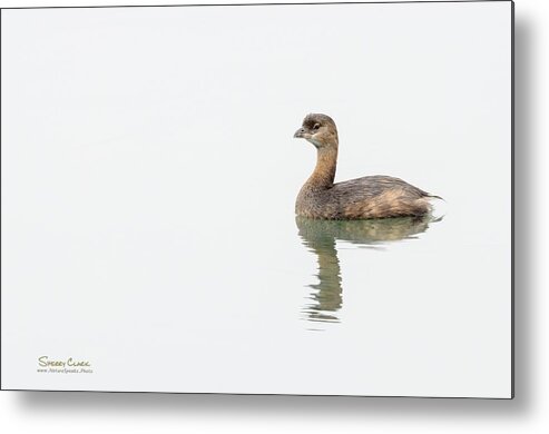  Metal Print featuring the photograph I am by Sherry Clark