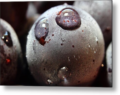 Grape Metal Print featuring the photograph I come in peace by Kreddible Trout