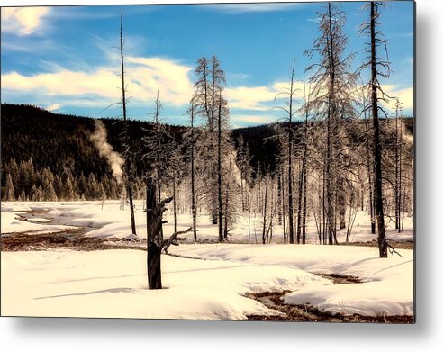 Yellowstone Metal Print featuring the photograph Ice Covered Trees In Yellowstone by Mountain Dreams