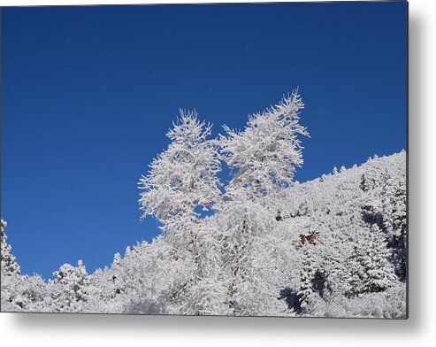 Ice Metal Print featuring the photograph Ice Crystals Ute Pass COS CO by Margarethe Binkley