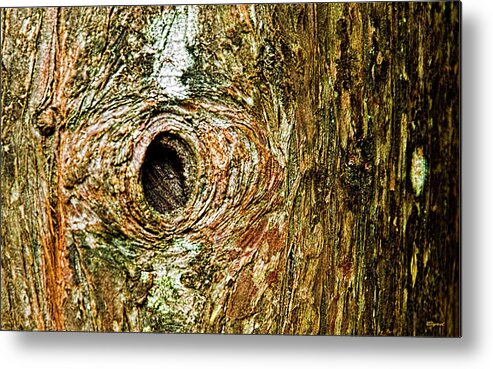 Bark Metal Print featuring the photograph Igneous black hole by Christopher Byrd