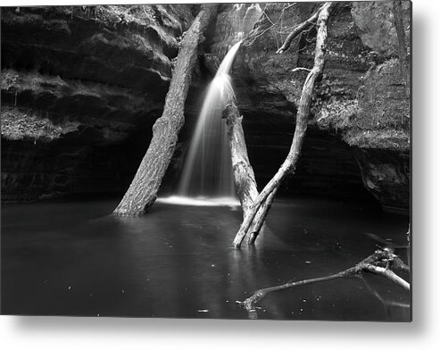 Black And White Metal Print featuring the photograph Illinois Beauty by Jason Wolters