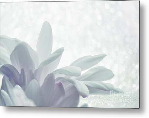 Petals Metal Print featuring the digital art Immobility - w01c2t03 by Variance Collections