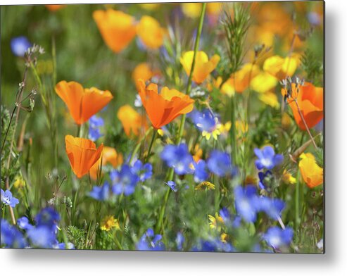 Poppies Metal Print featuring the photograph Impressionist Wildflowers by Cliff Wassmann