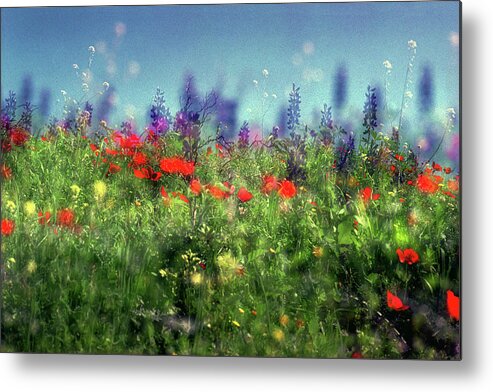 Impressionistic Metal Print featuring the photograph Impressionistic Springtime by Dubi Roman