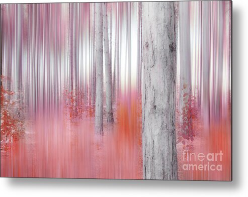 Woods Metal Print featuring the photograph In Crimson Woods by Hal Halli