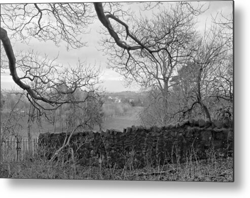 Bare Tree Metal Print featuring the photograph In December. by Elena Perelman