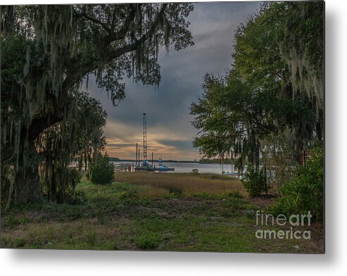 Live Oak Tree Metal Print featuring the photograph In Progress by Dale Powell
