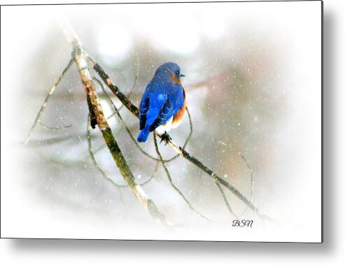 Bird Metal Print featuring the photograph In Snow by Barbara S Nickerson
