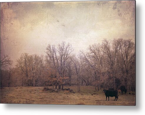 Landscape Metal Print featuring the photograph In the field by Toni Hopper