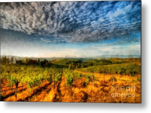 Wine Metal Print featuring the photograph In the Vineyard Winery Landscape by Edward Fielding