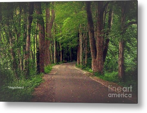 Photograph Metal Print featuring the photograph In To The  Deep Dark Woods by MaryLee Parker