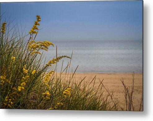 Beach Metal Print featuring the photograph Indiana Dunes on Lake Michigan by Ron Pate
