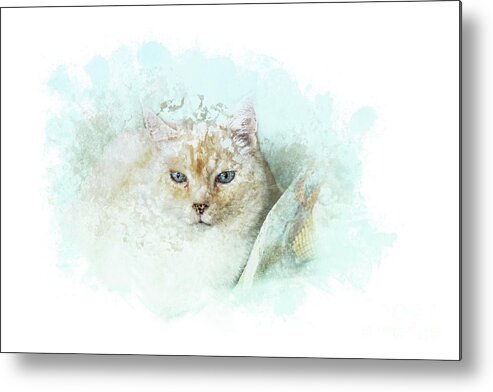 Cat Metal Print featuring the mixed media Indigo by Eva Lechner