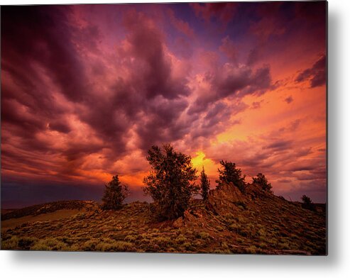 California Metal Print featuring the photograph Into the Storm by Dan Holmes