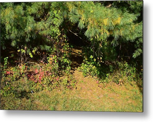  Metal Print featuring the photograph Into the Unknown 1 by R Allen Swezey