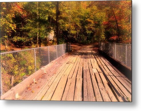 Nature Footpath Metal Print featuring the photograph Into the Woods we Go by Stacie Siemsen