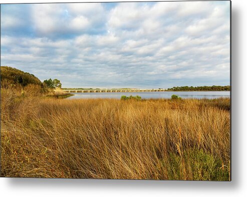 Camp Helen State Park Metal Print featuring the photograph Inviting Inlet by Raul Rodriguez