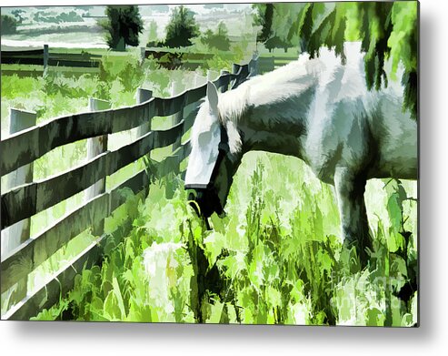 Horse Metal Print featuring the digital art Iowa Farm Pasture and White Horse by Wilma Birdwell