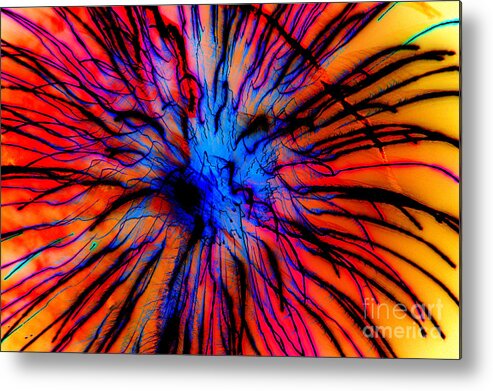 Firework Metal Print featuring the photograph It Came Out Of The Blue by Leah McPhail