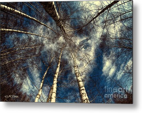 Trees Metal Print featuring the photograph It is all about perspective by Kira Bodensted