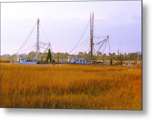 James Island Metal Print featuring the photograph James Island by Charles Harden