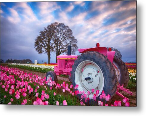 Farm Metal Print featuring the photograph Jane Deere by Darren White