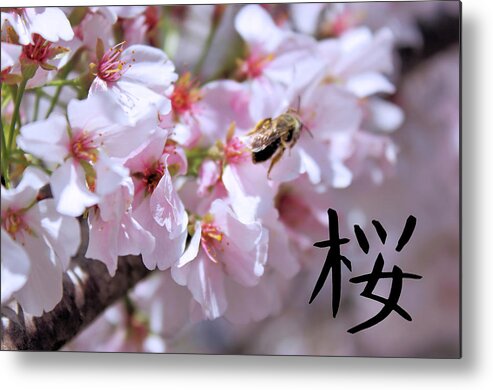 Landscape Metal Print featuring the photograph Japanese Cherry Tree One by Morgan Carter