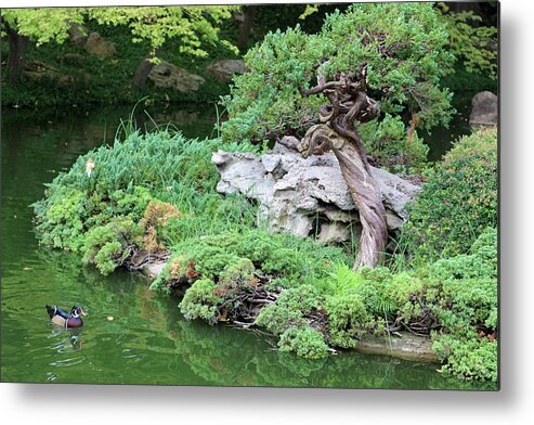 Japanese Garden Metal Print featuring the photograph Japanese Gardens - Saturday Afternoon 01 by Pamela Critchlow