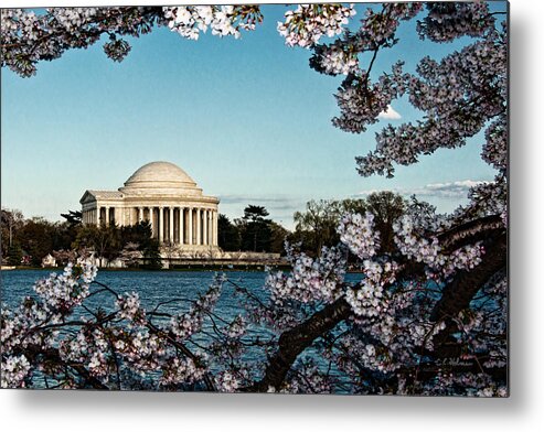 Memorial Metal Print featuring the photograph Jefferson Memorial In Spring by Christopher Holmes