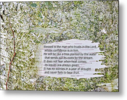 Background Metal Print featuring the photograph Jeremiah 17 by David Arment