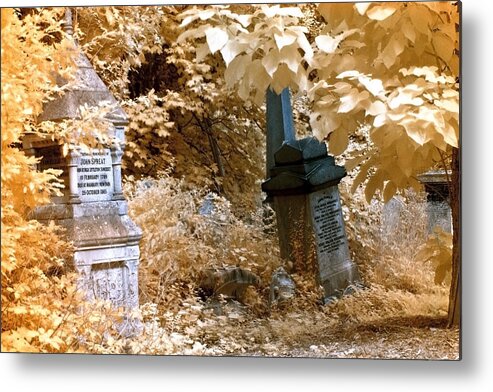John Spreat Metal Print featuring the photograph Autumnal walk at Abney Park cemetery by Helga Novelli